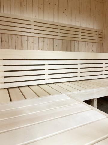 SaunaLife X7 Indoor Home Sauna